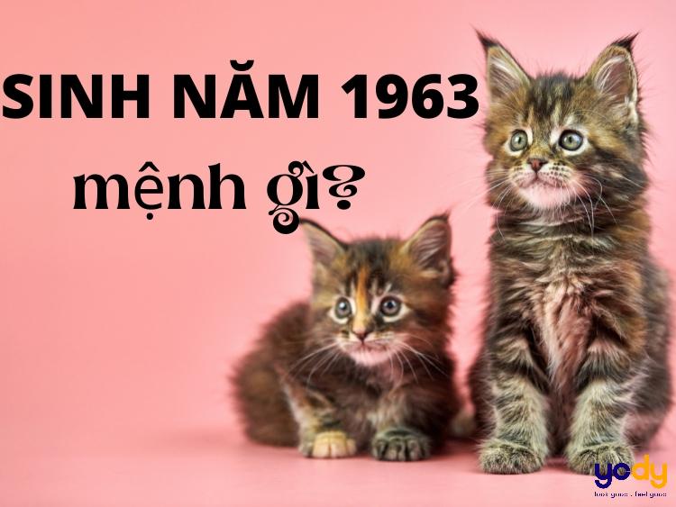 Cach lua chon mau sac phu hop voi nu sinh nam 1963 menh Kim khi mua sam thoi trang