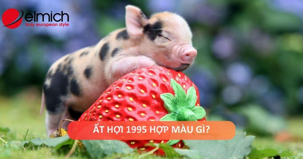 Mau sac tuong sinh tuong hop giup nu sinh 1995 menh Hoa may man