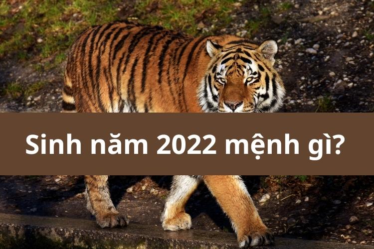 Bảng màu phong thủy hợp và kỵ với người sinh năm 2022