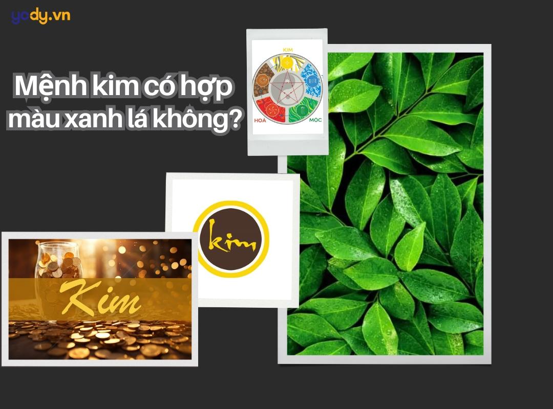 Người sinh năm 2022 mệnh Kim Bạch Kim và các yếu tố liên quan đến vận mệnh