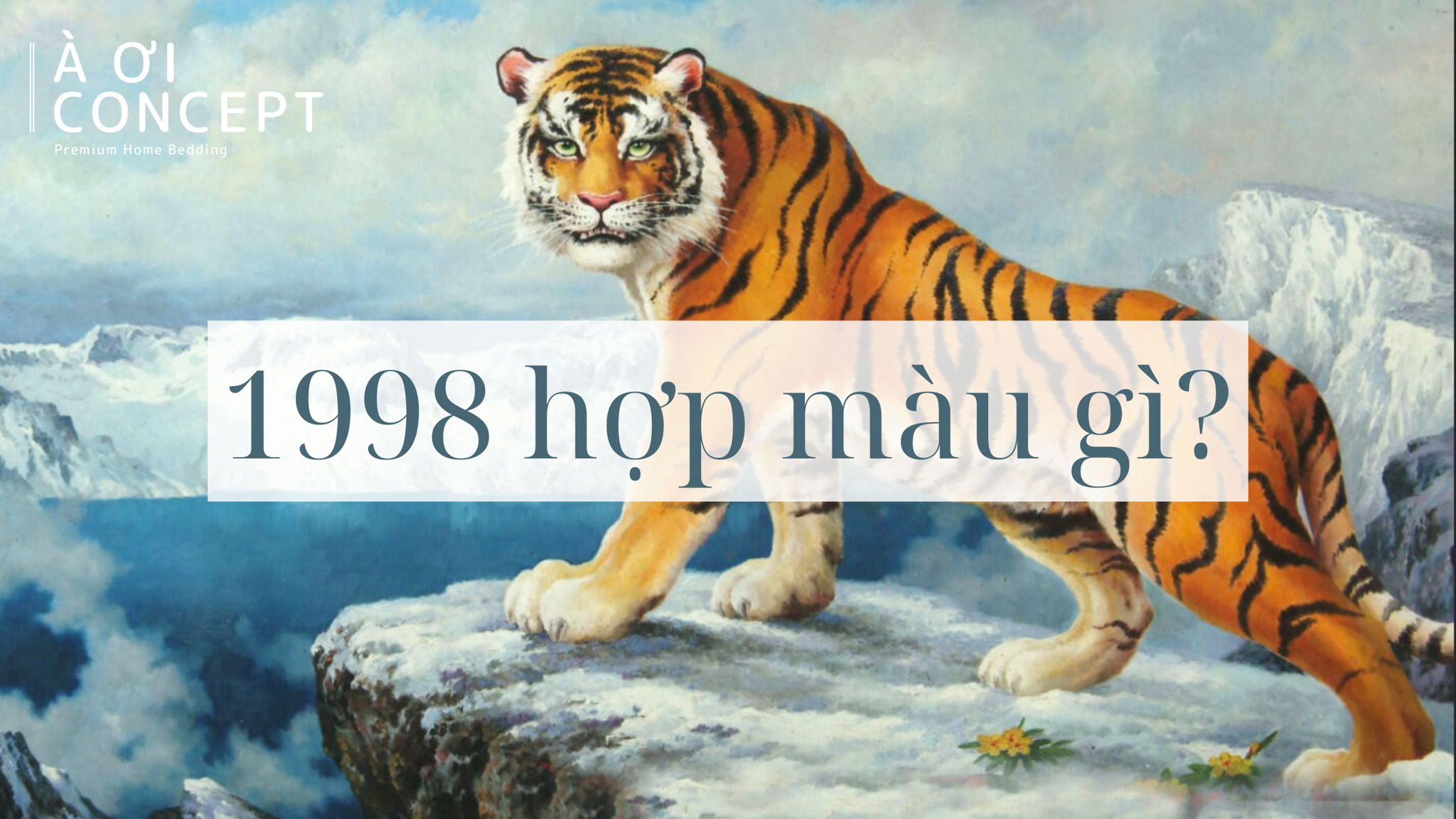 Phụ nữ tuổi Mậu Dần 1998 hợp màu đỏ hồng tím trong trang phục phụ kiện