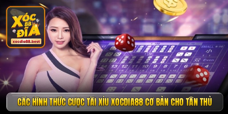 Các hình thức cược tài xỉu Xocdia88 cơ bản cho tân thủ Các hình thức cược tài xỉu Xocdia88 cơ bản cho tân thủ