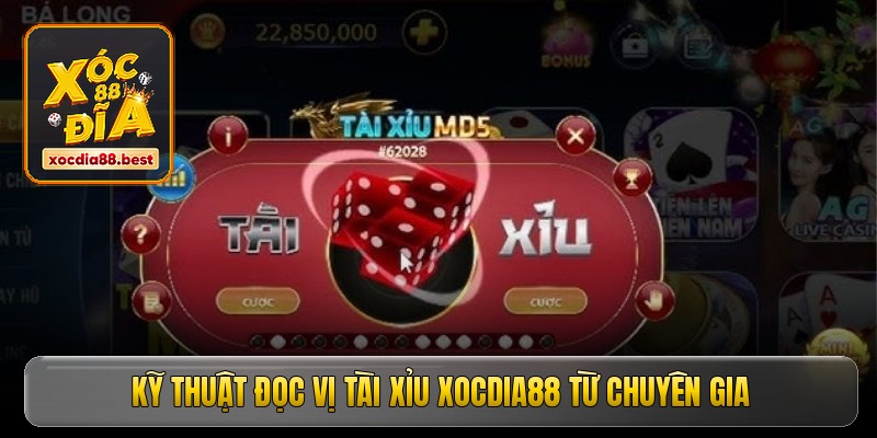 Kỹ thuật đọc vị tài xỉu Xocdia88 từ chuyên gia Kỹ thuật đọc vị tài xỉu Xocdia88 từ chuyên gia